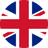 language flag